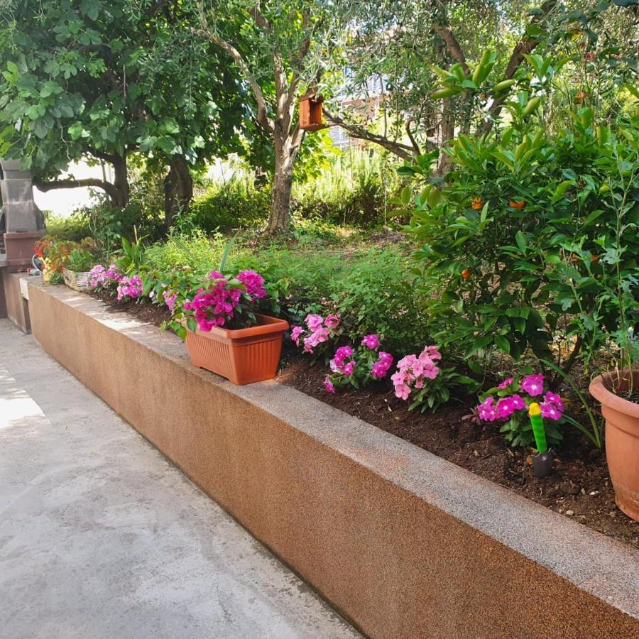 Appartamento Apartma Lana21 Capodistria Esterno foto